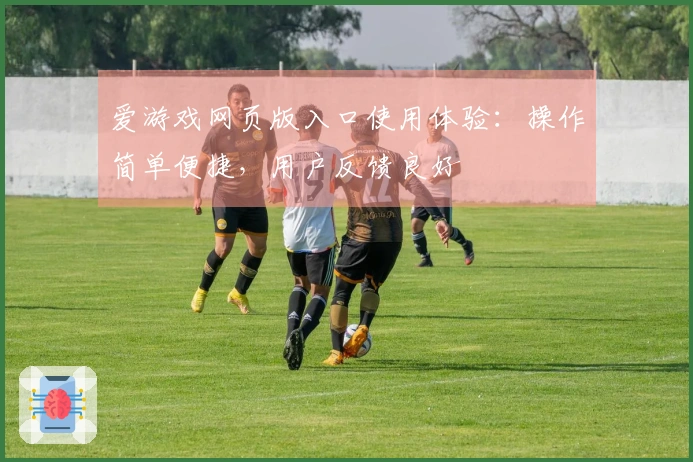 爱游戏网页版入口使用体验：操作简单便捷，用户反馈良好